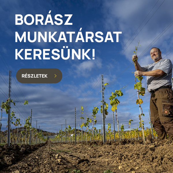 Gyukli Pincészet - Borász munkatársat keresünk